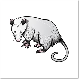 Opossum Posters and Art